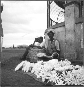 CH-NB - Italienisch-Ostafrika, Massana (Massawa, Massaua)- Hafen - Annemarie Schwarzenbach - SLA-Schwarzenbach-A-5-23-148
