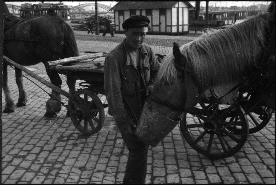 CH-NB - Lettland, Riga- Tiere - Annemarie Schwarzenbach - SLA-Schwarzenbach-A-5-17-096