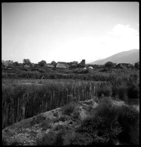 CH-NB - Persien, Mazanderan (Mazandaran)- Dorf - Annemarie Schwarzenbach - SLA-Schwarzenbach-A-5-06-097