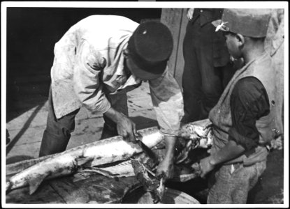 CH-NB - Persien, Meshed-i-Sehr (Meshed-i-Sahr)- Fischerei - Annemarie Schwarzenbach - SLA-Schwarzenbach-A-5-04-088