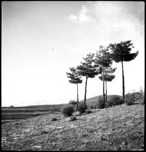 CH-NB - Persien, Elburs-Gebirge (Elburz)- Landschaft (Lokalisierung unsicher) - Annemarie Schwarzenbach - SLA-Schwarzenbach-A-5-04-046