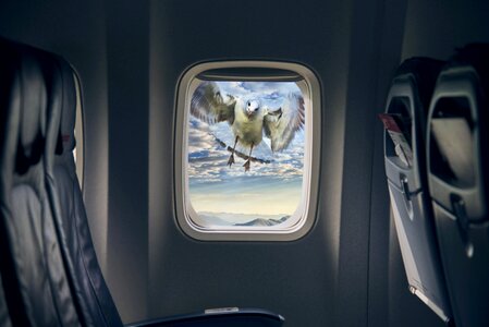 Travel within window