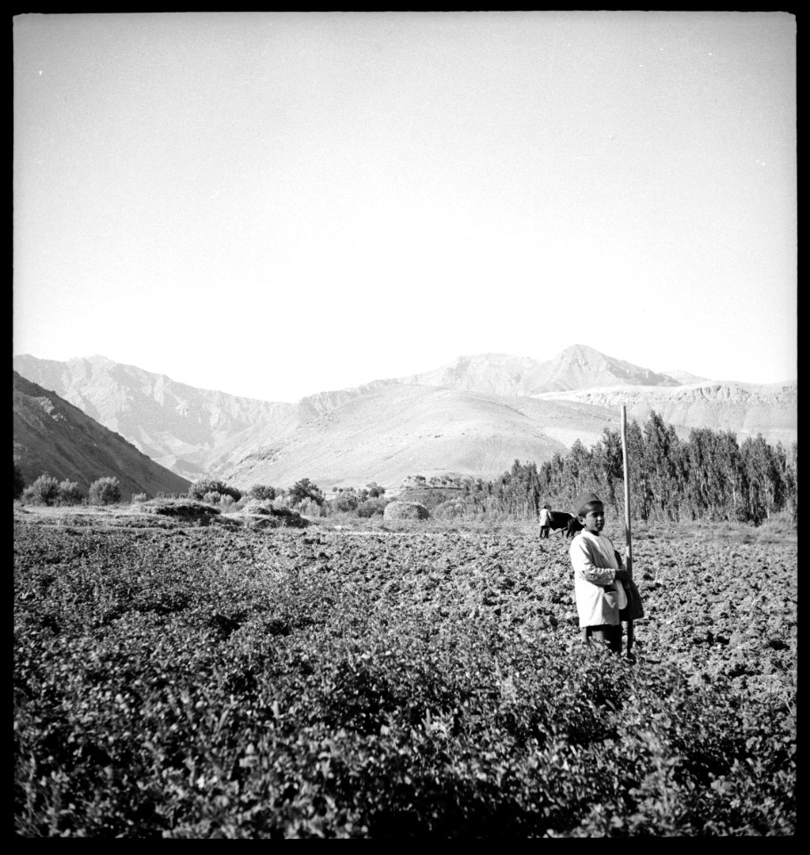 CH-NB - Persien, Farmanieh (Farmaniye)- Kind (Lokalisierung unsicher) - Annemarie Schwarzenbach - SLA-Schwarzenbach-A-5-06-130
