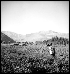 CH-NB - Persien, Farmanieh (Farmaniye)- Kind (Lokalisierung unsicher) - Annemarie Schwarzenbach - SLA-Schwarzenbach-A-5-06-130
