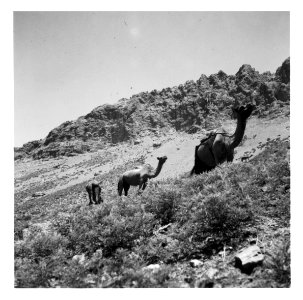 CH-NB - Persien, Elburs-Gebirge (Elburz)- Landschaft - Annemarie Schwarzenbach - SLA-Schwarzenbach-A-5-06-167