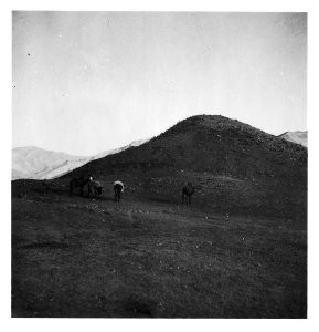 CH-NB - Persien, Elburs-Gebirge (Elburz)- Maultiere oder Pferde - Annemarie Schwarzenbach - SLA-Schwarzenbach-A-5-06-214