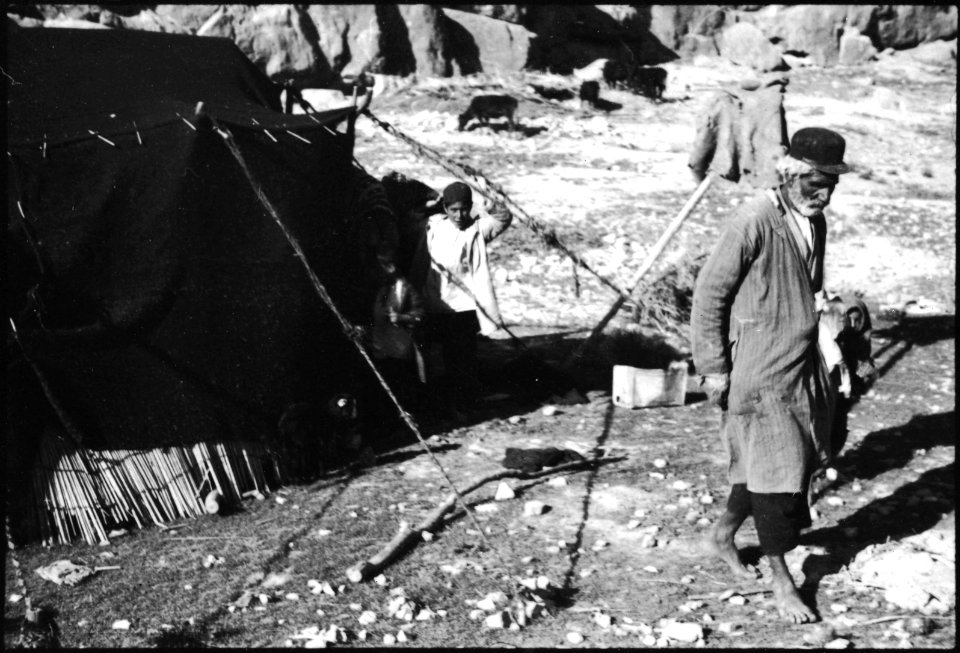 CH-NB - Persien, Persepolis- Nomaden - Annemarie Schwarzenbach - SLA-Schwarzenbach-A-5-04-204