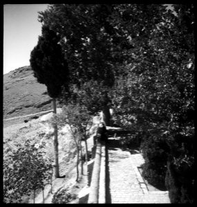 CH-NB - Persien, Schiraz (Schiras)- Landschaft - Annemarie Schwarzenbach - SLA-Schwarzenbach-A-5-07-165
