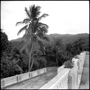 CH-NB - Portugal, San Thomé (São Tomé und Príncipe)- Landschaft bei Trindade - Annemarie Schwarzenbach - SLA-Schwarzenbach-A-5-25-042