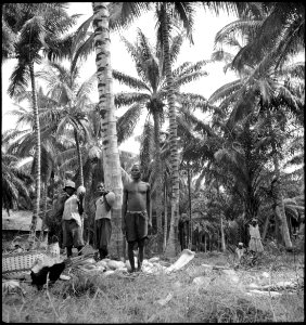 CH-NB - Portugal, San Thomé (São Tomé und Príncipe)- Menschen - Annemarie Schwarzenbach - SLA-Schwarzenbach-A-5-25-008