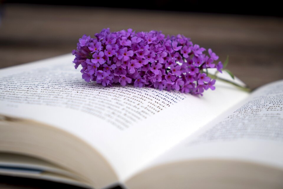 Read literature learn