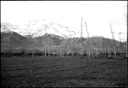 CH-NB - Persien- Landschaft (Lokalisierung unsicher) - Annemarie Schwarzenbach - SLA-Schwarzenbach-A-5-04-206