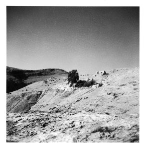 CH-NB - Persien, Schiraz (Schiras)- Landschaft - Annemarie Schwarzenbach - SLA-Schwarzenbach-A-5-07-167