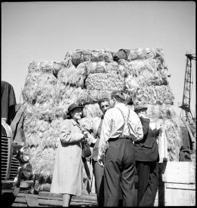 CH-NB - Portugal, Lissabon (Lisboa)- Hafen - Annemarie Schwarzenbach - SLA-Schwarzenbach-A-5-24-068