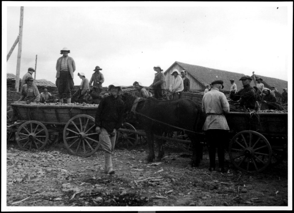 CH-NB - Russland, Nordossetien- Landwirtschaft (Lokalisierung unsicher) - Annemarie Schwarzenbach - SLA-Schwarzenbach-A-5-04-228