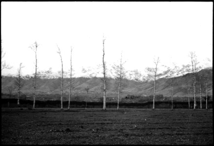 CH-NB - Persien- Landschaft (Lokalisierung unsicher) - Annemarie Schwarzenbach - SLA-Schwarzenbach-A-5-04-207