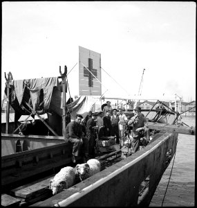 CH-NB - Portugal, Lissabon (Lisboa)- Schiff Silva Gouveia - Annemarie Schwarzenbach - SLA-Schwarzenbach-A-5-24-079