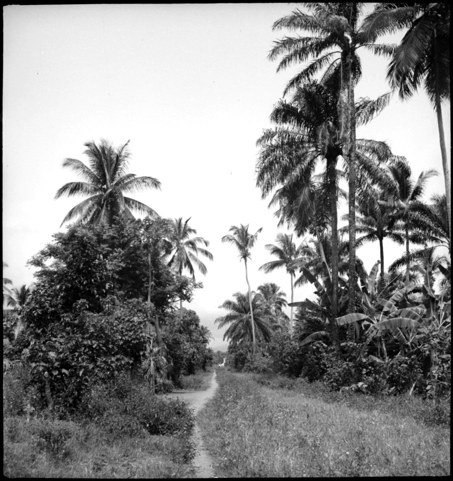 CH-NB - Portugal, San Thomé (São Tomé und Príncipe)- Landschaft - Annemarie Schwarzenbach - SLA-Schwarzenbach-A-5-25-007
