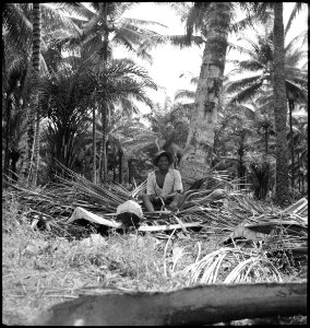 CH-NB - Portugal, San Thomé (São Tomé und Príncipe)- Menschen - Annemarie Schwarzenbach - SLA-Schwarzenbach-A-5-25-015