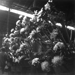 CH-NB - Portugal, Lissabon (Lisboa)- Markthalle - Annemarie Schwarzenbach - SLA-Schwarzenbach-A-5-24-054