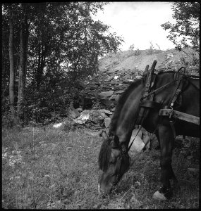CH-NB - Schweden, Norberg- Erzgruben - Annemarie Schwarzenbach - SLA-Schwarzenbach-A-5-17-208