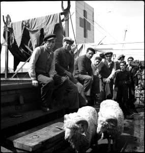 CH-NB - Portugal, Lissabon (Lisboa)- Schiff Silva Gouveia - Annemarie Schwarzenbach - SLA-Schwarzenbach-A-5-24-088