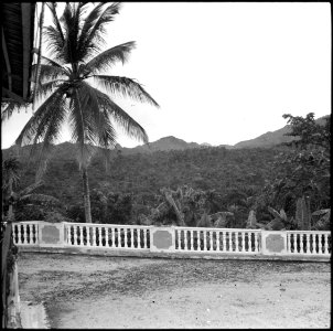 CH-NB - Portugal, San Thomé (São Tomé und Príncipe)- Landschaft bei Trindade - Annemarie Schwarzenbach - SLA-Schwarzenbach-A-5-25-044