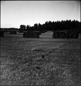 CH-NB - Schweden- Landschaft - Annemarie Schwarzenbach - SLA-Schwarzenbach-A-5-17-116