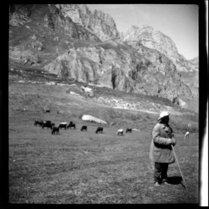 CH-NB - Russland, Nordossetien- Landwirtschaft (Lokalisierung unsicher) - Annemarie Schwarzenbach - SLA-Schwarzenbach-A-5-04-242