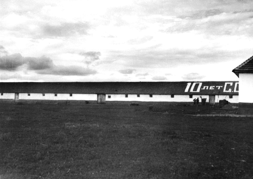 CH-NB - Russland, Nordossetien- Landwirtschaft - Annemarie Schwarzenbach - SLA-Schwarzenbach-A-5-04-226