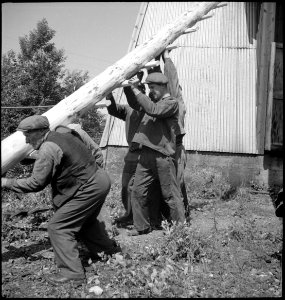 CH-NB - Schweden, Norberg- Erzgruben - Annemarie Schwarzenbach - SLA-Schwarzenbach-A-5-17-209