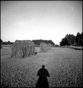 CH-NB - Schweden- Landschaft - Annemarie Schwarzenbach - SLA-Schwarzenbach-A-5-17-112