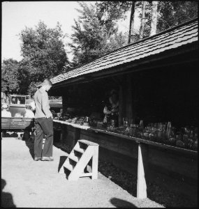 CH-NB - Schweden, Stockholm- Skansen - Annemarie Schwarzenbach - SLA-Schwarzenbach-A-5-17-302