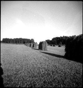 CH-NB - Schweden- Landschaft - Annemarie Schwarzenbach - SLA-Schwarzenbach-A-5-17-114