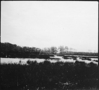 CH-NB - Schweden- Landschaft - Annemarie Schwarzenbach - SLA-Schwarzenbach-A-5-17-149