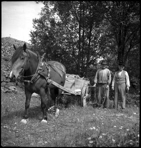 CH-NB - Schweden, Norberg- Erzgruben - Annemarie Schwarzenbach - SLA-Schwarzenbach-A-5-17-206