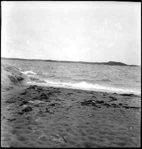 CH-NB - Schweden, Sandham (Sandhamn)- Landschaft - Annemarie Schwarzenbach - SLA-Schwarzenbach-A-5-17-313