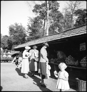 CH-NB - Schweden, Stockholm- Skansen - Annemarie Schwarzenbach - SLA-Schwarzenbach-A-5-17-301