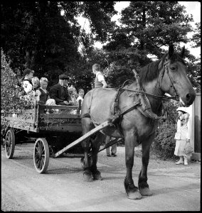 CH-NB - Schweden- Mitsommerfest - Annemarie Schwarzenbach - SLA-Schwarzenbach-A-5-17-241