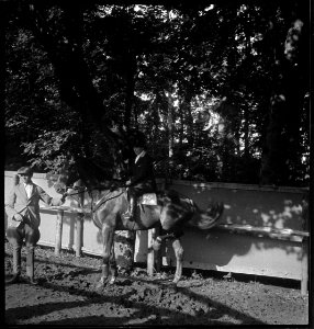 CH-NB - Schweiz, Luzern- Reitveranstaltung - Annemarie Schwarzenbach - SLA-Schwarzenbach-A-5-01-083