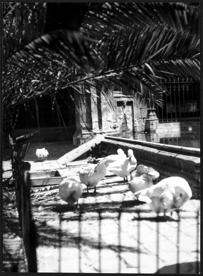 CH-NB - Spanien, Barcelona- Stadtansicht - Annemarie Schwarzenbach - SLA-Schwarzenbach-A-5-01-012
