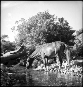 CH-NB - Spanisch-Marokko, Tétouan- Landschaft - Annemarie Schwarzenbach - SLA-Schwarzenbach-A-5-26-157