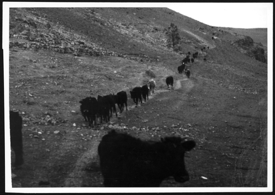 CH-NB - Türkei, Ankara- Landschaft - Annemarie Schwarzenbach - SLA-Schwarzenbach-A-5-02-159