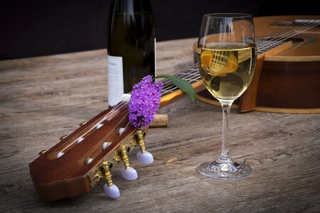 Wine glass wine bottle bottle