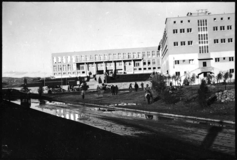 CH-NB - Türkei, Ankara- Landwirtschaftliche Hochschule - Annemarie Schwarzenbach - SLA-Schwarzenbach-A-5-02-075