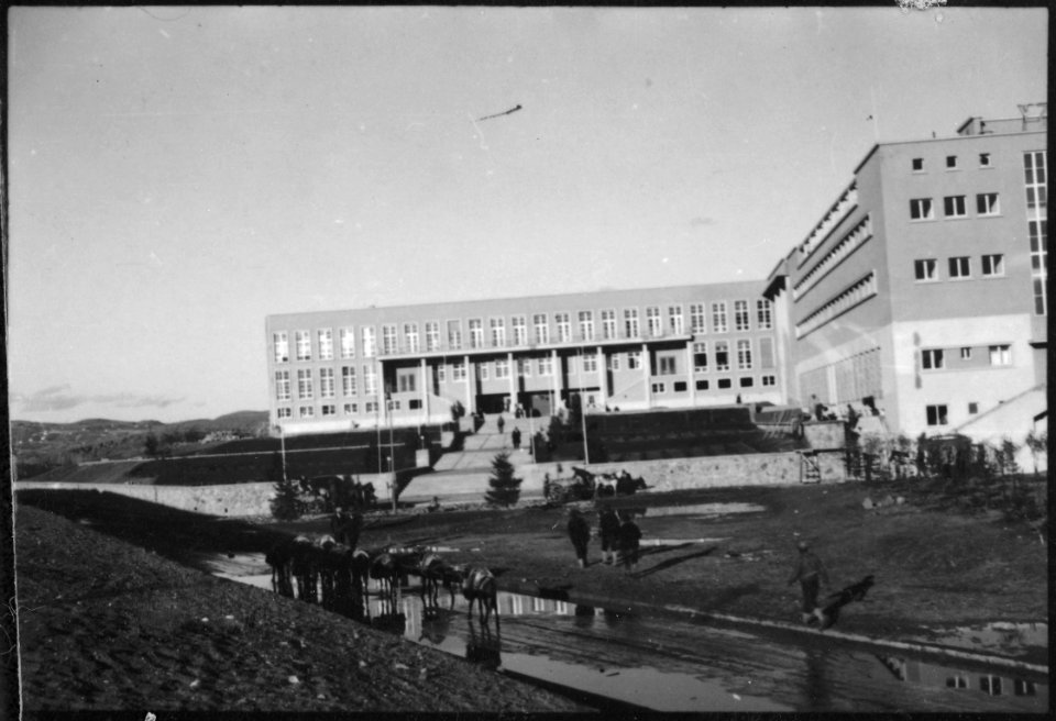 CH-NB - Türkei, Ankara- Landwirtschaftliche Hochschule - Annemarie Schwarzenbach - SLA-Schwarzenbach-A-5-02-107