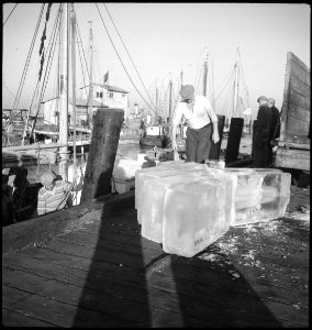 CH-NB - USA, Charleston-SC- Hafen - Annemarie Schwarzenbach - SLA-Schwarzenbach-A-5-11-167