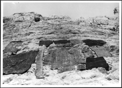 CH-NB - Syrien- Alltagsszene - Annemarie Schwarzenbach - SLA-Schwarzenbach-A-5-05-048