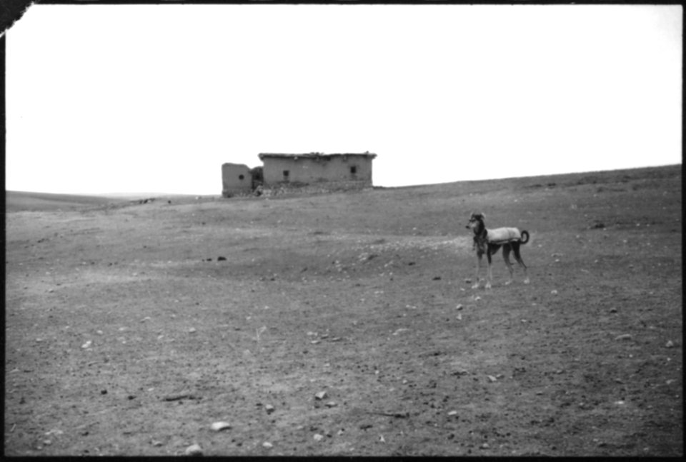 CH-NB - Türkei, Anatolien- Landschaft - Annemarie Schwarzenbach - SLA-Schwarzenbach-A-5-02-191
