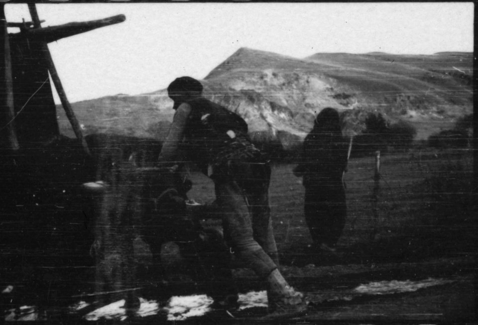 CH-NB - Türkei, Ankara- Büffel - Annemarie Schwarzenbach - SLA-Schwarzenbach-A-5-02-084